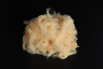 PSF צהוב מוצק