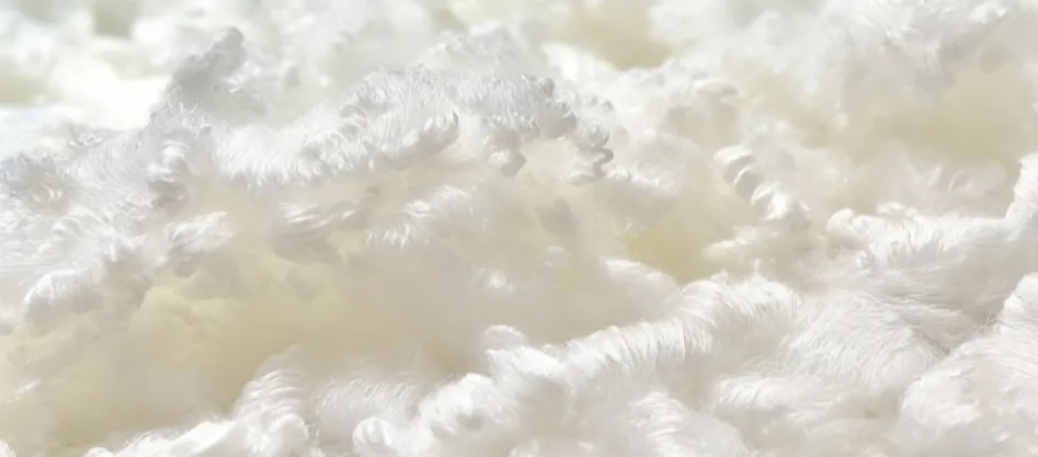 האם פוליאסטר הוא סיב סינתטי? (2)