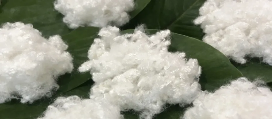 האם פוליאסטר הוא סיב סינתטי? משהו שאתה צריך לדעת