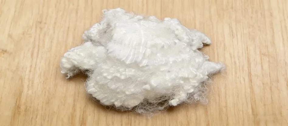 מהו סיב קונוגט וירג'ין?